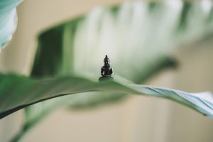 The Emotional Benefits of Yoga Featured Image