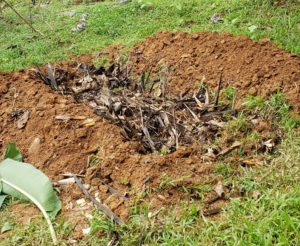 How to Hugelkultur A Step by Step Guide - Fill Hole with Yard Waste 2