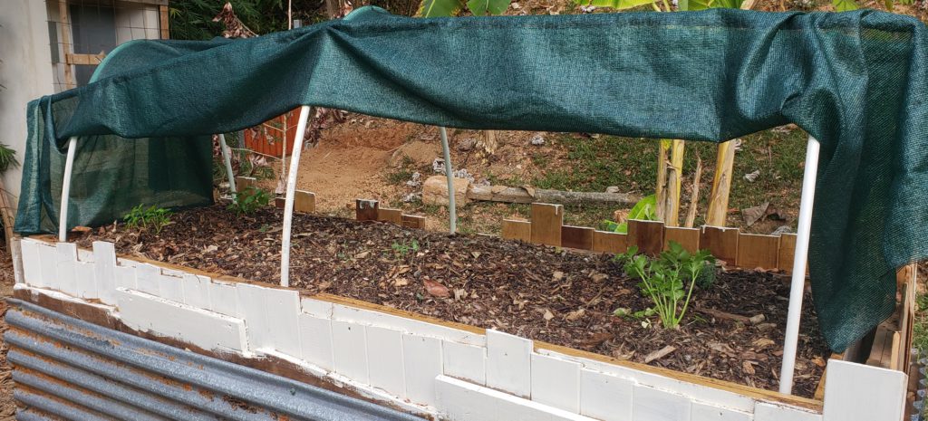 how to upcycle a raised garden bed - plant your favorites
