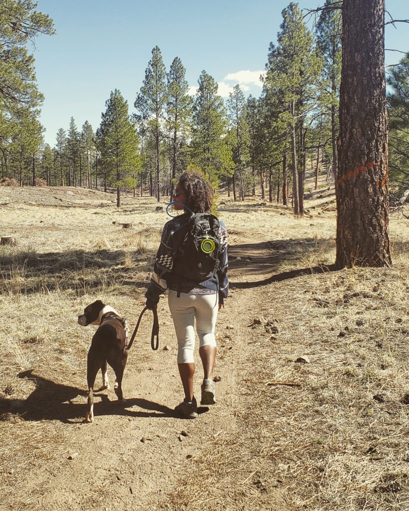 back in the states a life update - hiking at buffalo park in flagstaff